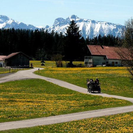 Appartement Haus Allgaeu Ruh à Görisried Chambre photo